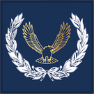 Master Air Cadet Badge